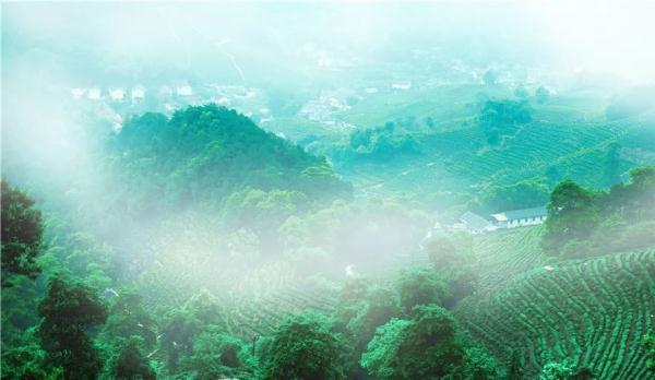 大暑的寓意是什么 大暑节气代表什么，大暑的寓意是什么（今日大暑，夏季的最后一个节气）