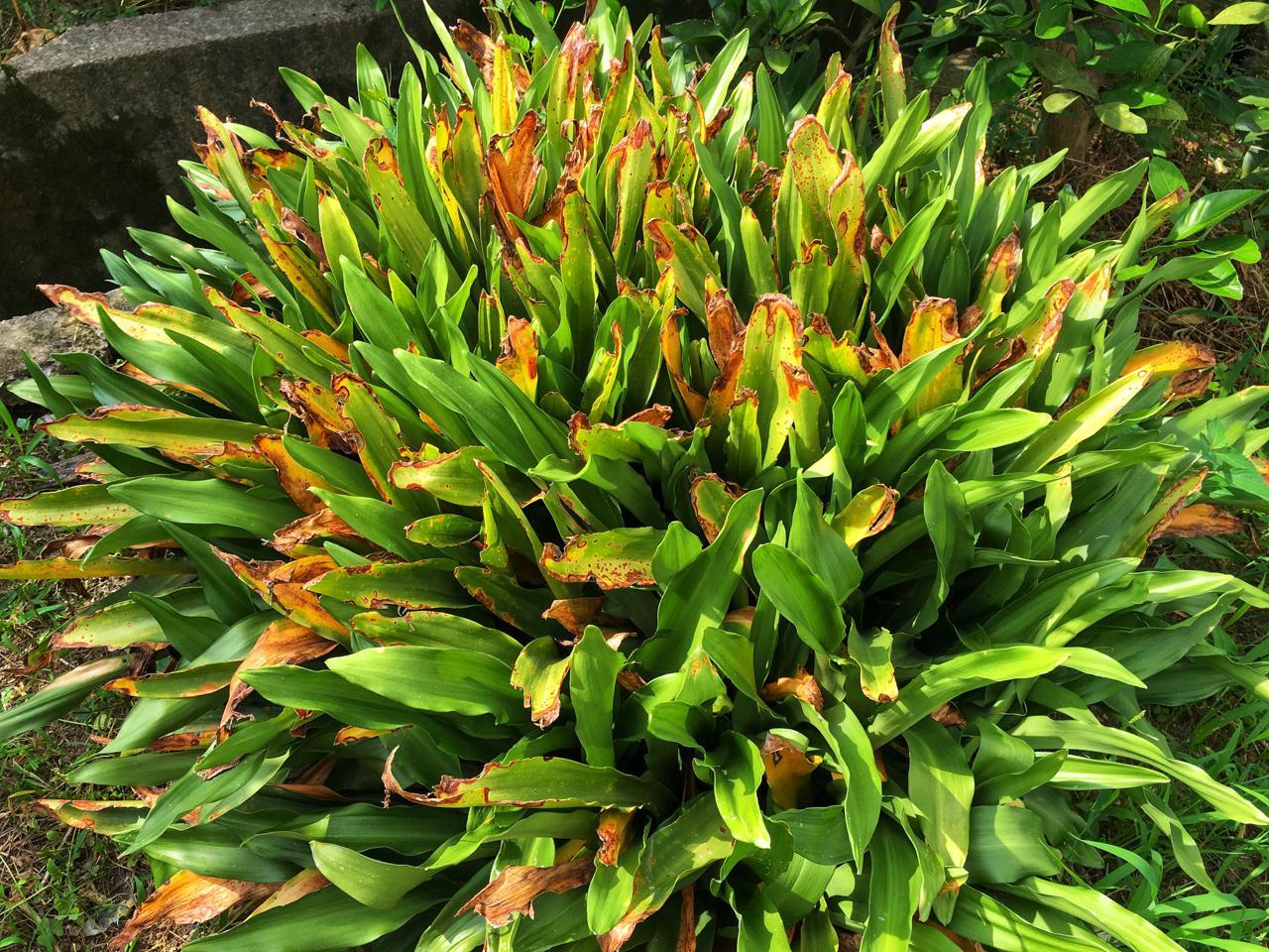 乍浦哪里有家电维修的 从夫妻店到中型商场 六通电器“个转企”转出新天地