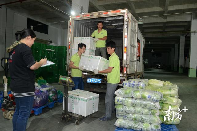 农户种出辣椒味荔枝，辣椒味荔枝培育成功（廉江青年贡献乡村振兴“青春力量”）