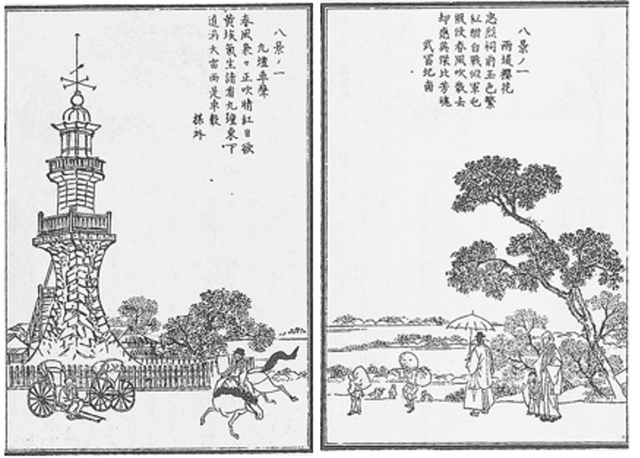 樱花的分类，樱花的分类特征（樱花是如何成为日本的象征的）