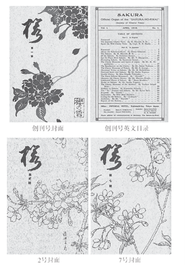 樱花的分类，樱花的分类特征（樱花是如何成为日本的象征的）