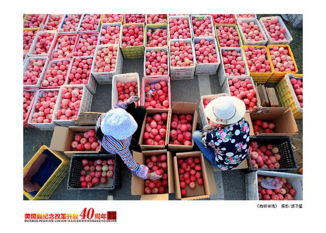 黄陵县属于哪个市，延安黄陵城市规划（陕西黄陵成为全国绿色苹果生产示范基地的启示）