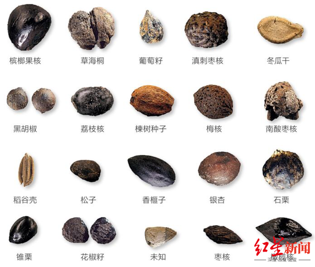 南海一号发展史，这艘800多年前沉船的秘密你知道多少