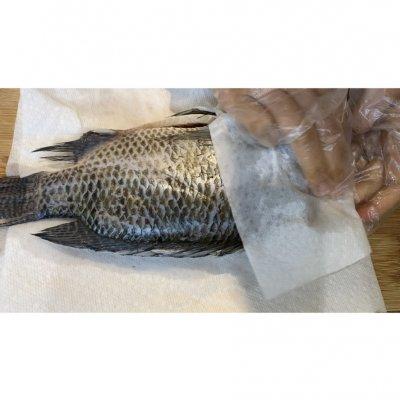 烤箱烤鱼温度和时间，烤箱烤鱼温度和时间视频（#我为奥运出食力#超级简单美味的烤箱烤罗非鱼）