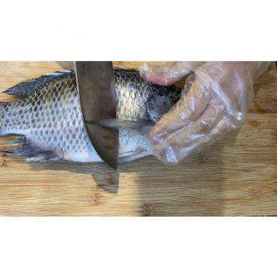 烤箱烤鱼温度和时间，烤箱烤鱼温度和时间视频（#我为奥运出食力#超级简单美味的烤箱烤罗非鱼）