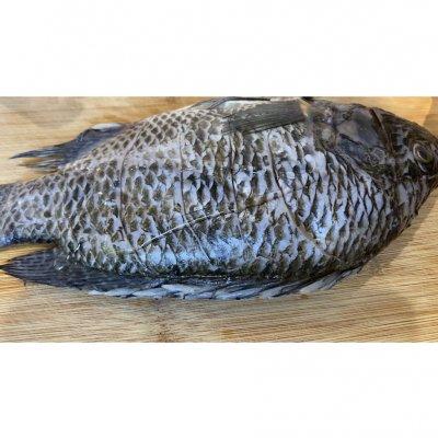 烤箱烤鱼温度和时间，烤箱烤鱼温度和时间视频（#我为奥运出食力#超级简单美味的烤箱烤罗非鱼）