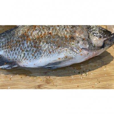 烤箱烤鱼温度和时间，烤箱烤鱼温度和时间视频（#我为奥运出食力#超级简单美味的烤箱烤罗非鱼）