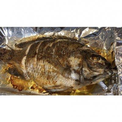 烤箱烤鱼温度和时间，烤箱烤鱼温度和时间视频（#我为奥运出食力#超级简单美味的烤箱烤罗非鱼）