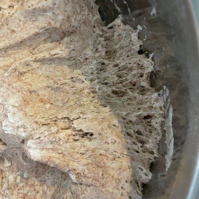 黑馒头是什么面做的，黑色馒头是啥面（三分钟做好黑面馒头）