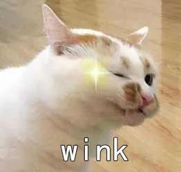 深圳教师编制考试，深圳考试院（深圳招聘1028名教师）