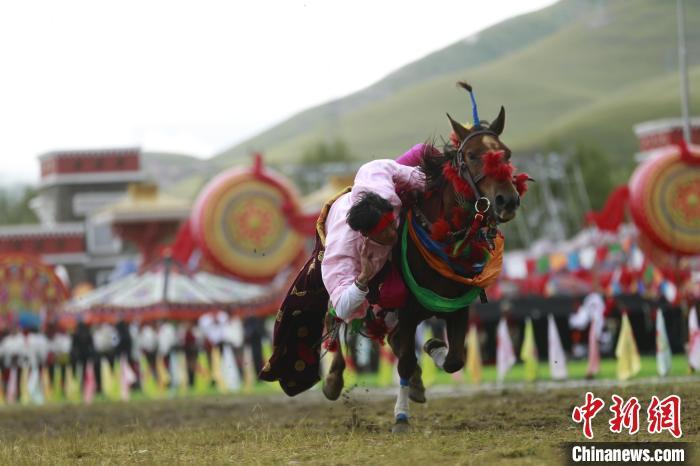 玉树是哪个省的（青海玉树：70年，幸福生活如格桑花绽放）