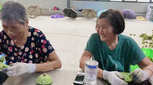 莲子产地，水果味莲子热销催生杭州“奶奶工坊”（中国三大莲子产地）