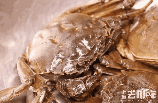 北方人立秋吃什么，立秋北方吃什么传统食物（立秋：一叶落而知天下秋）