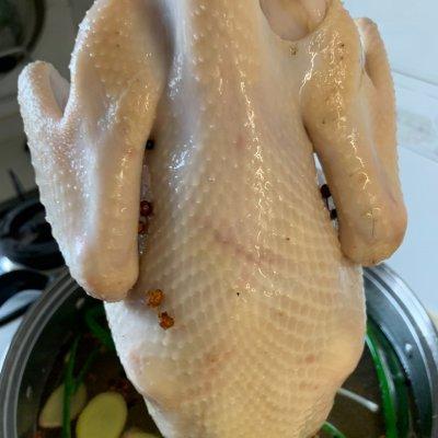 白切鸡的做法简单做法，白切鸡的做法简单做法窍门（白切鸡）