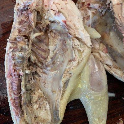 白切鸡的做法简单做法，白切鸡的做法简单做法窍门（白切鸡）