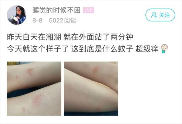 小妮子代表什么意思，男生喊小妮子什么意思（萧山姑娘欲哭无泪：奇痒无比）