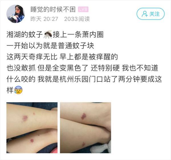 小妮子代表什么意思，男生喊小妮子什么意思（萧山姑娘欲哭无泪：奇痒无比）