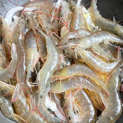 白灼虾的做法几分钟能熟，简单快手又下饭的白灼虾吃起来那叫一个香