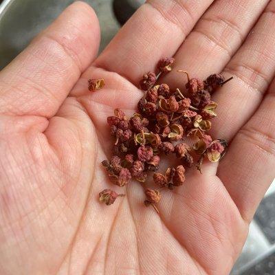 白灼虾的做法几分钟能熟，简单快手又下饭的白灼虾吃起来那叫一个香