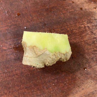 腿肉做红烧肉做法大全，腿肉做红烧肉做法大全视频（秘制红烧肉炖蛋）