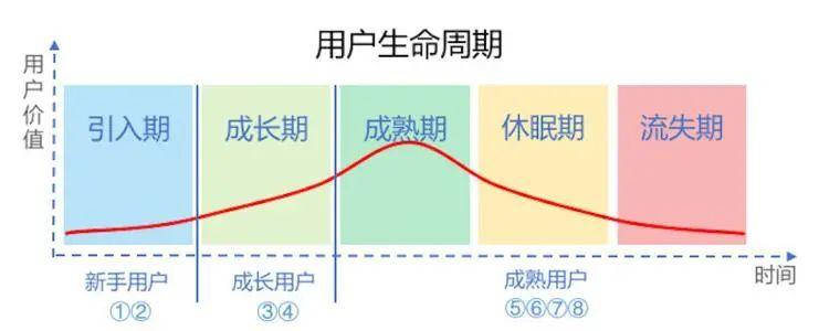 teamleader（带项目的运营人）