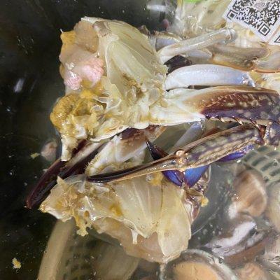 梭子蟹的家常做法，葱油梭子蟹的家常做法（新手也能做红焖梭子蟹<葱姜>）