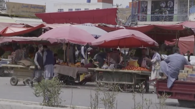 喀布尔是哪个国家，坎大哈是哪个国家（阿富汗首都喀布尔局势逐渐稳定）