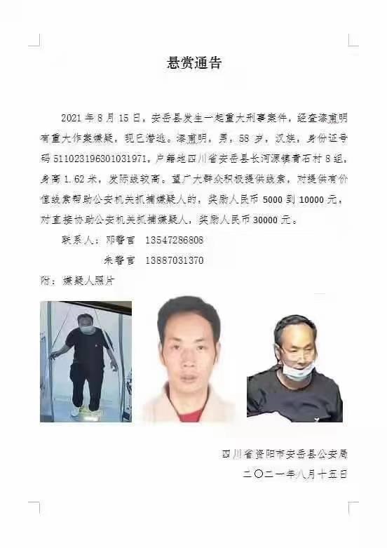 四川身份证号码，四川身份证开头两位数是多少（四川安岳发生一起重大刑事案件）