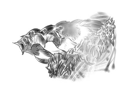 丫头吉他谱c调版，丫头吉他谱（燕子不居仇屋）