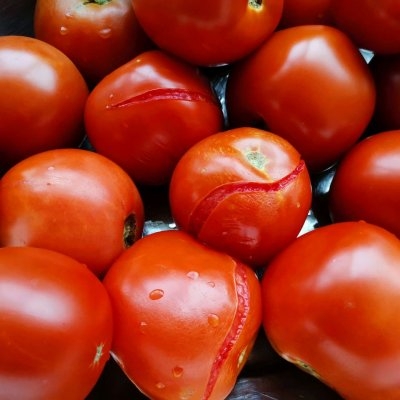 自制西红柿酱可以放多久,自制西红柿酱对身体有害吗