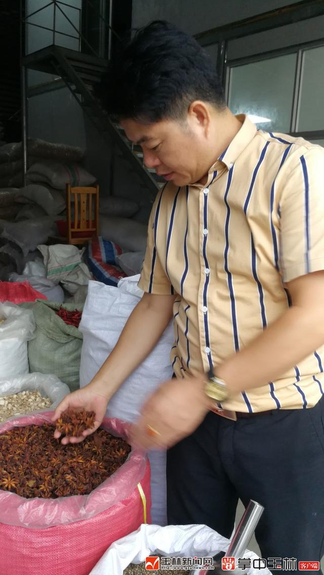 正宗八角产地是哪里，八角产地哪里最出名（玉林八角产业如何才能走得稳）