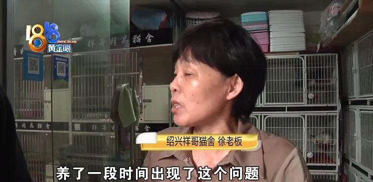 猫瘟试纸多少钱 宠物店测一次猫瘟多少钱