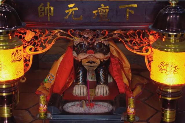 福建漳州龙海有什么特产啊，福建漳州十大特产（寻味，收集舌尖上的烟火）