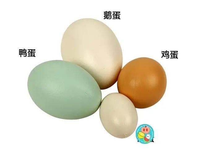 什么人吃鸭蛋好，人吃鸭蛋有什么好处（鸡蛋、鹅蛋、鸭蛋）