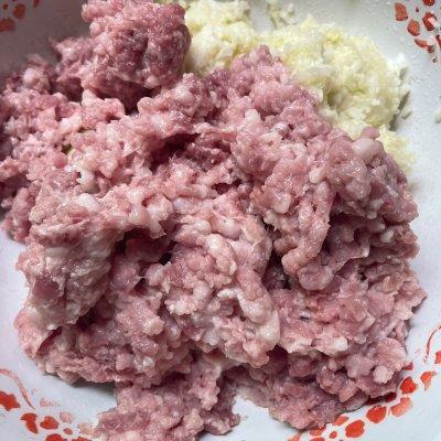 如何制作猪肉白菜蒸饺，如何制作猪肉白菜蒸饺视频（学会这样做白菜猪肉蒸饺秒变大厨）