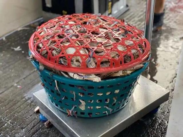 梭子蟹死了能吃吗，梭子蟹刚死放明天吃行吗（价格大跌）