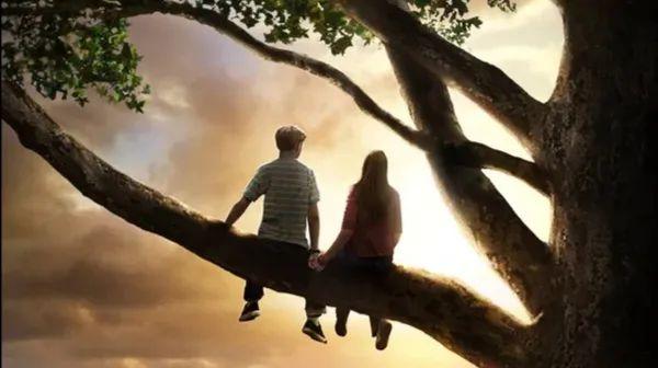 怦然心动，怦然心动20岁（那句“斯人若彩虹”的英文原文是什么图片）