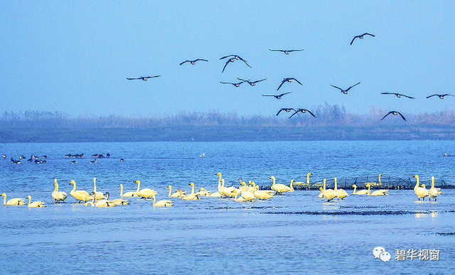 常德在哪里，湖南常德在哪里（常德有哪些值得反复品味的景致）