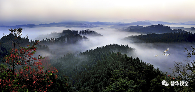 常德在哪里，湖南常德在哪里（常德有哪些值得反复品味的景致）