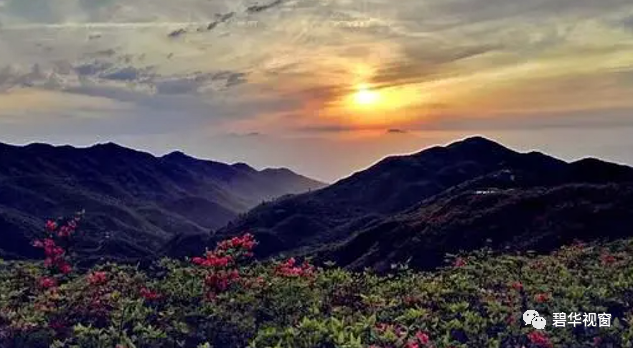 常德在哪里，湖南常德在哪里（常德有哪些值得反复品味的景致）