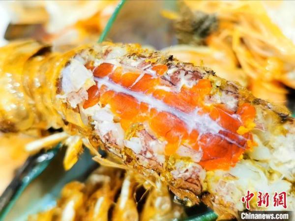 赖尿虾介绍，赖尿虾是哪里的（南海开渔后会“濑尿”的虾在广东侨乡台山备受青睐）