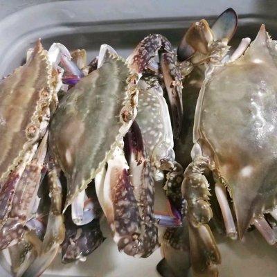 海蟹清蒸的方法，海蟹怎么蒸（#巨下饭的家常菜#清蒸梭子蟹）