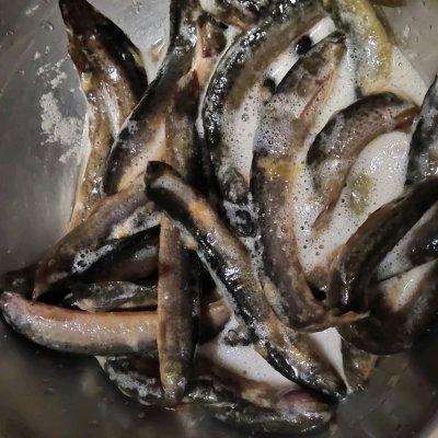 烧泥鳅怎么烧好吃窍门，烧泥鳅怎么烧好吃窍门视频（小白也能轻松学会的红烧泥鳅）