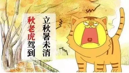 灭蝇妙招，灭苍蝇的妙招（上海阿姨教你如何做蚊虫“灭霸”→）