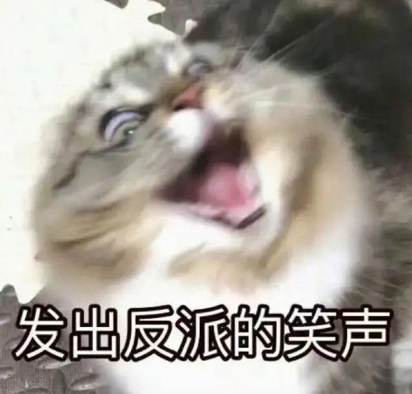 灭蝇妙招，灭苍蝇的妙招（上海阿姨教你如何做蚊虫“灭霸”→）