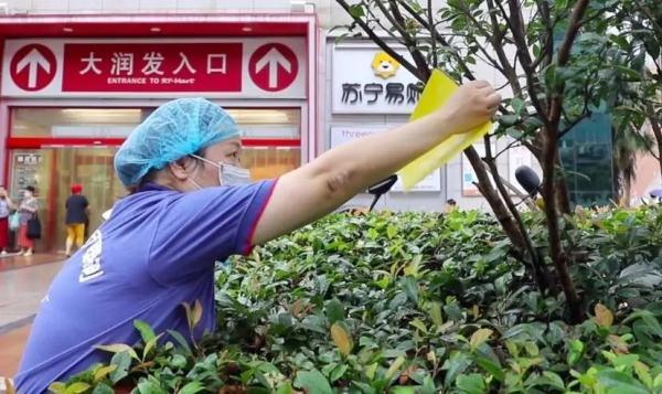 灭蝇妙招，灭苍蝇的妙招（上海阿姨教你如何做蚊虫“灭霸”→）