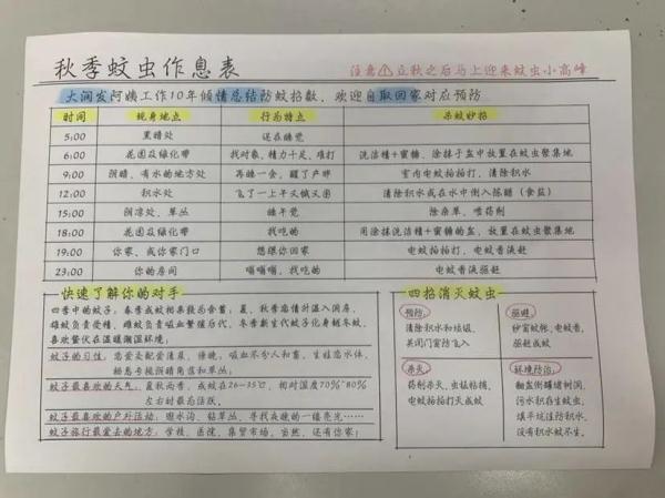 灭蝇妙招，灭苍蝇的妙招（上海阿姨教你如何做蚊虫“灭霸”→）