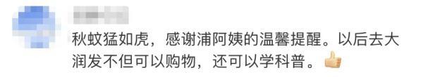 灭蝇妙招，灭苍蝇的妙招（上海阿姨教你如何做蚊虫“灭霸”→）