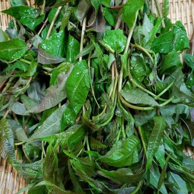 香椿炒鸡蛋怎么炒，香椿怎么做好吃（#巨下饭的家常菜#如何在一年四季吃上鲜香美味的香椿炒鸡蛋）