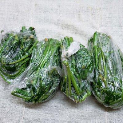 香椿炒鸡蛋怎么炒，香椿怎么做好吃（#巨下饭的家常菜#如何在一年四季吃上鲜香美味的香椿炒鸡蛋）